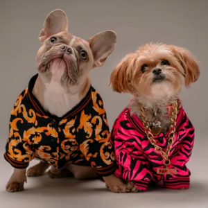 Choosing the right clothing for your pet