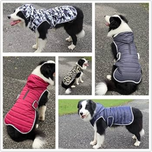 Choosing the right clothing for your pet