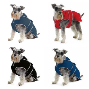 Choosing the right clothing for your pet