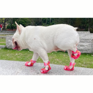 Cute Summer Dog Shoes