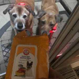 Arm & Hammer Odor Control Wipes for Dogs