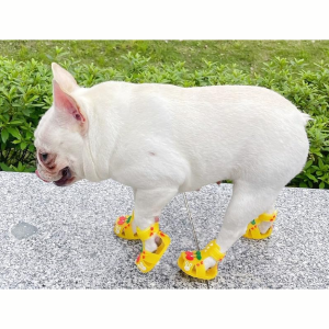 Cute Summer Dog Shoes