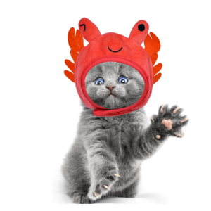 Lobster Plush Pet Hat