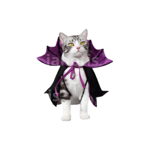 Halloween Cat Vampire Cloak Costume