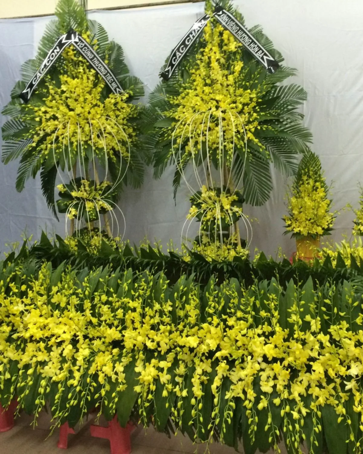 Serene Golden Orchid Funeral Arrangement Collection