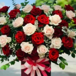 Crimson & Ivory Rose Elegance