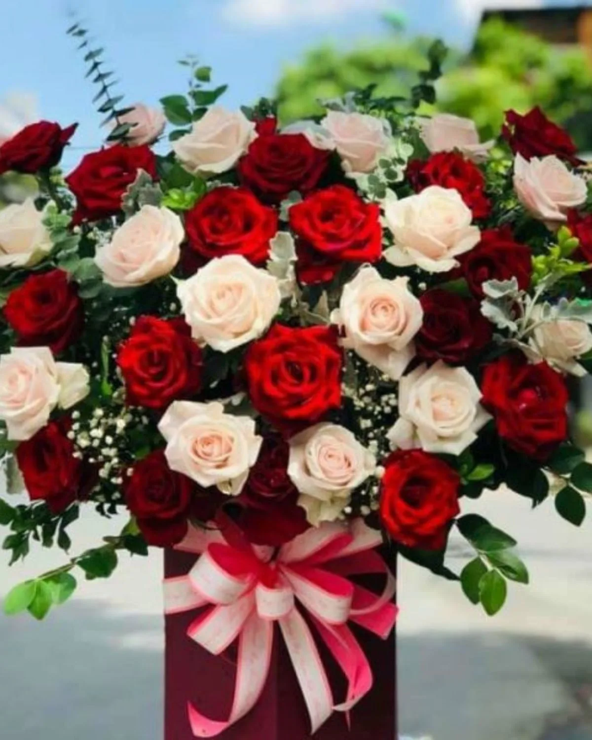 Crimson & Ivory Rose Elegance