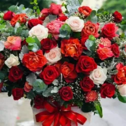 Fiery Romance Rose