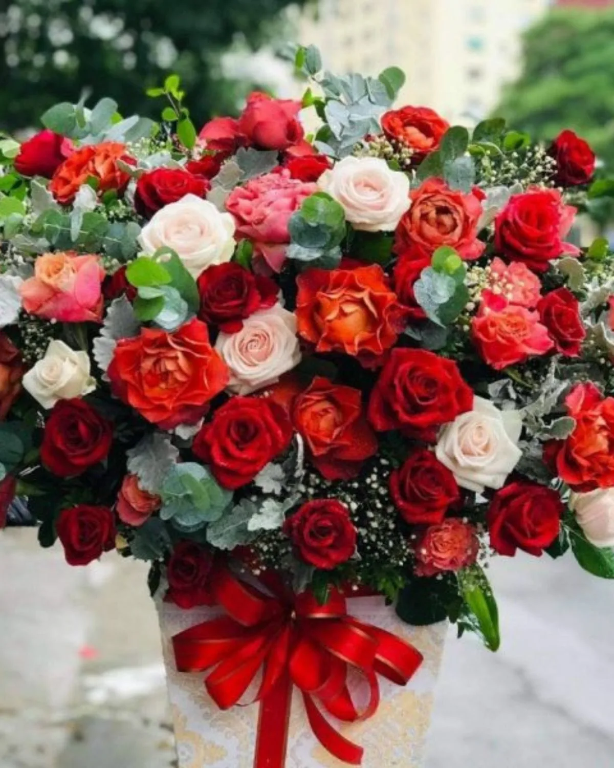 Fiery Romance Rose