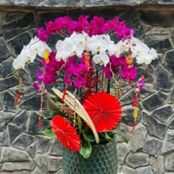 Imperial Orchid Harmony
