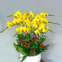Golden Fortune Orchid Pot