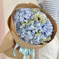 Something Blue Hydrangea