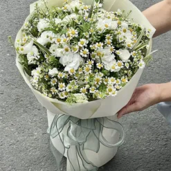 Pure Daisy & Rose Reverie