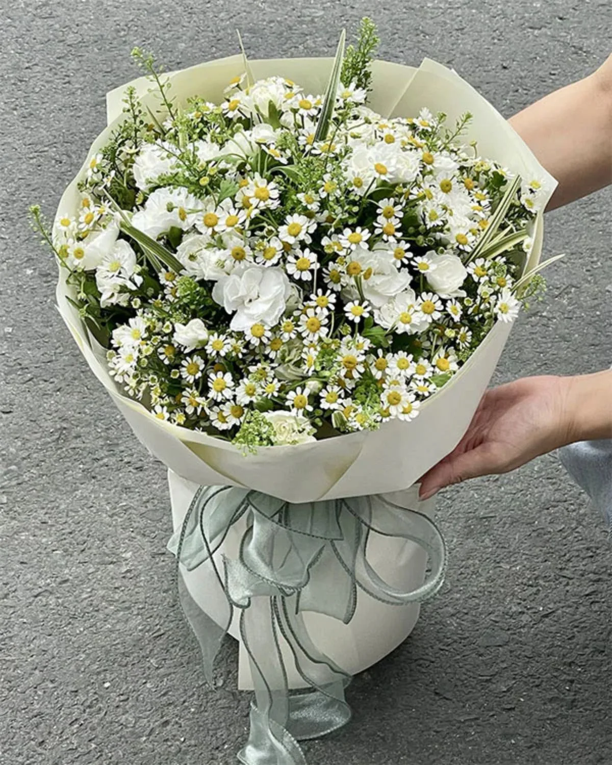 Pure Daisy & Rose Reverie